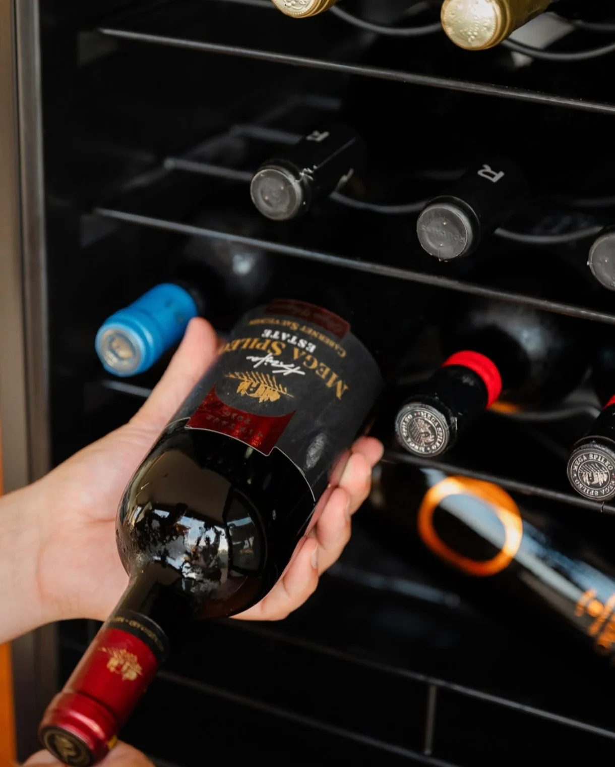 Γευσιγνωσία κρασιού με premium ελληνικές ετικέτες στο Plaisir Bar.